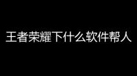 王者荣耀下什么软件帮人代打赚钱(王者荣耀游戏交易软件比较好用)