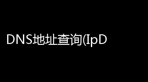 DNS地址查询(IpDnReolver) v143 官方版_迷你科技开挂器(免费)