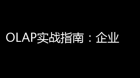 OLAP实战指南：企业级在线分析筹备技术的深度解析与价值实现,among us外服下载