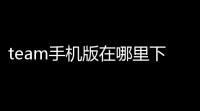 team手机版在哪里下载