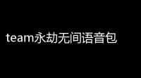 team永劫无间语音包怎么改,永劫无间team修复客户端教程